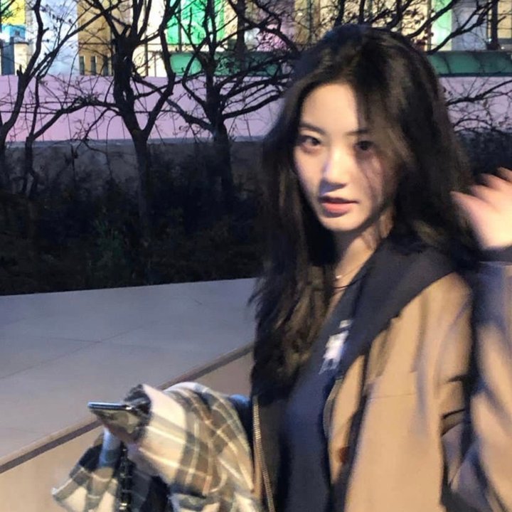 诉讼女王